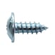Pan head tapping screw with flange - 1