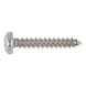 Pan head tapping screw, C shape with H recessed head DIN 7981, A4 stainless steel, shape C, with tip - SCR-PANHD-DIN7981-C-H2-A4-4,8X80 - 1