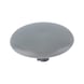 Cover cap for screws with head recess - CAP-(01743)-R7001-SILVERGREY-D15/2,5 - 1