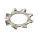 Serrated washer, externally serrated, shape A DIN 6797, A2 stainless steel - 3