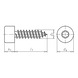 Cylinder tapping screw, shape C with AW drive - 2