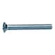 Slotted screw, oval head. TX - 1