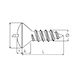 DIN 7983 A4 stainless steel plain TX shape C point - 2