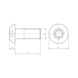 Schraube abgeflachter Halbrundkopf und Innensechsrund DIN 34805-1, TX-Antrieb, Edelstahl A2-070, blank - 2