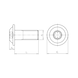 Hexalobular screw with flattened half round head and collar DIN 34805-2, TX drive, A2-070 stainless steel - 2