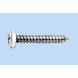 Round head tapping screw, shape C, H recessed head DIN 7981, steel, nickel-plated (E2J), round head, PH drive, shape C - SCR-PANHD-DIN7981-C-H2-(E2J)-4,2X13 - 1
