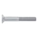 Countersunk head screw with hexagon socket ISO 10642, steel, strength class 10.9, zinc flake, silver (ZFSHL) - SCR-CS-ISO10642-010.9-(ZFSHL)-M12X100 - 1