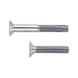 Countersunk screw with hexagon socket head ISO 10642, steel, strength class 8.8, zinc-nickel-plated, silver (ZNSHL) - 1