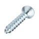 ASSY<SUP>®</SUP> 4 CS fittings screw Steel zinc plated full thread countersunk head - 15