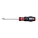 Screwdriver with AW tip - SCRDRIV-AW20X100 - 1