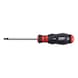 Screwdriver with AW tip - SCRDRIV-AW30X100 - 1
