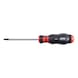 Screwdriver with AW tip - SCRDRIV-AW25X100 - 1