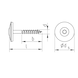 Plumber's sealing screw, A2 stainless steel - 2