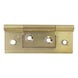 Brass hinge Flush - CABHNGE-BRS-(PL)-245DGR-64MM - 1