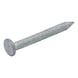 Wire nail hot dip galvanized flat hd smooth shank - 2