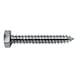 Hexagon tapping screw DIN 7976, zinc-plated steel, blue passivated (A2K), shape C (with tip) - SCR-HEX-DIN7976-C-WS7-(A2K)-3,9X19 - 1