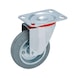 Apparatus castor with rotating holder - 1