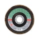 Segmented Grinding Disc For Stainless Steel - FLPDISC-ZC-CLTH-DOMED-BR22,23-G80-D115 - 1