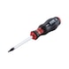 Screwdriver with AW tip - SCRDRIV-AW10X80 - 4