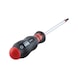 Screwdriver with AW tip - SCRDRIV-AW20X100 - 5