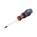 Screwdriver with AW tip - SCRDRIV-AW20X100 - 4