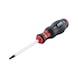 Screwdriver with AW tip - SCRDRIV-AW25X100 - 4
