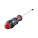 Screwdriver with AW tip - SCRDRIV-AW25X100 - 5