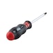 Screwdriver with AW tip - SCRDRIV-AW30X100 - 5