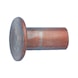 Rivet for brake and clutch discs - 1