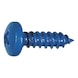 Number plate screw  - 1