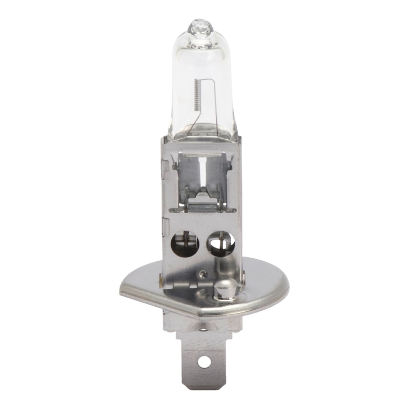 Halogen bulb +50 % For active, safety-conscious drivers