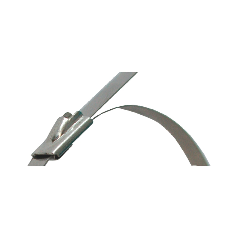 Stainless Steel Cable Ties - 2