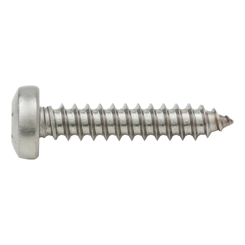 ISO 14585 Stahl verz geh Form F galv Flachkopf-Blechschrauben mit Zapfen 
