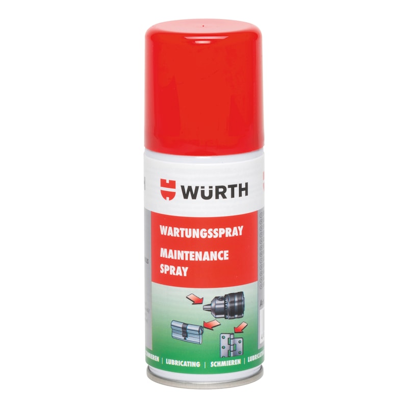 Spray per manutenzione - MAINTSPR-CONCENTRATE-100ML