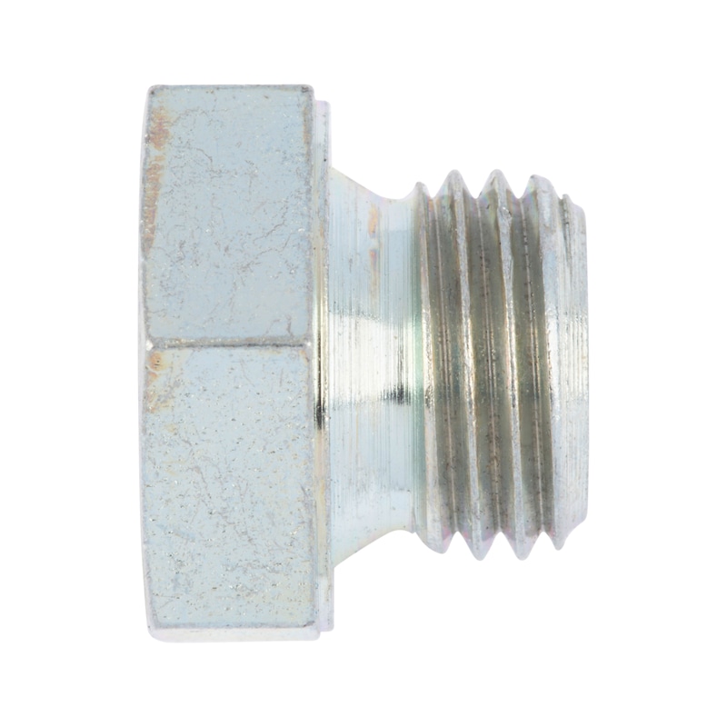 Hexagon head sealing plug, long screw-in pin DIN 7604, steel, zinc-plated, blue passivated (A2K) - 1