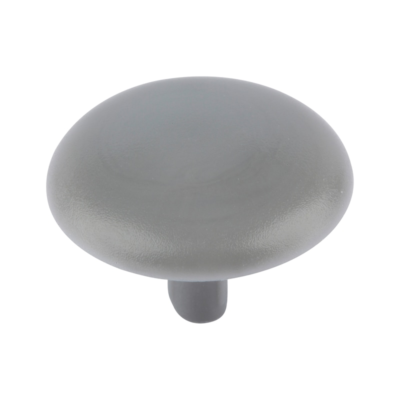 Cover cap for screws with head recess - CAP-(01743)-R7001-SILVERGREY-D12/2,5
