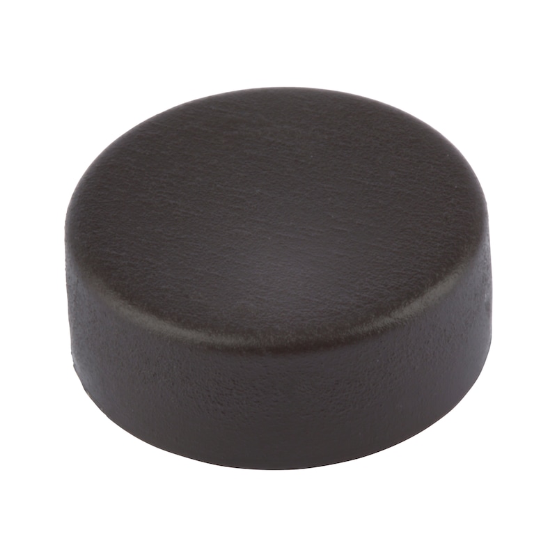 Cover cap for number plate screw - 1