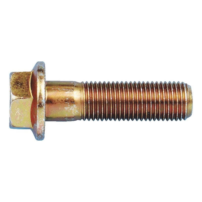 Hexagon head serrated screw with flange Verbus® - 1