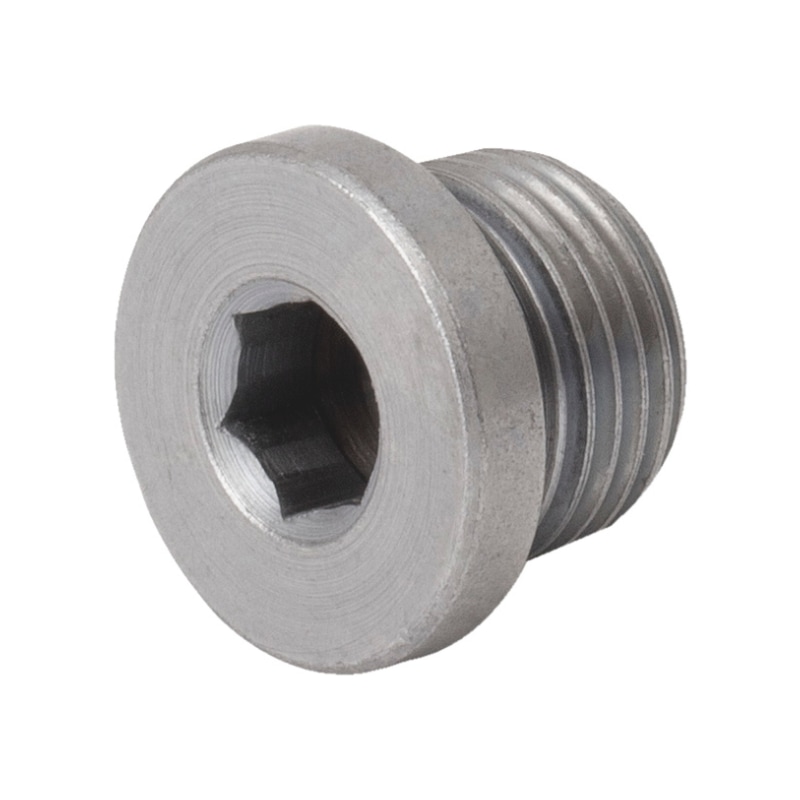 BSP male gas stop end hexagon socket with stop and O-ring