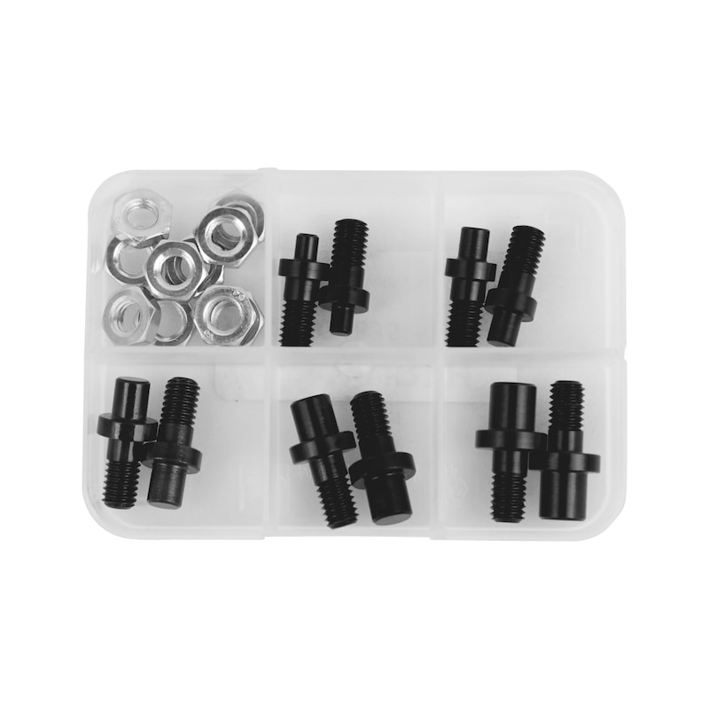 Sortierbox mit losen Zapfen für Gelenk-Stirnlochschlüssel 20-teilig - SORTBOX-ZAPF-F.GLKSTIRNLOSHSL