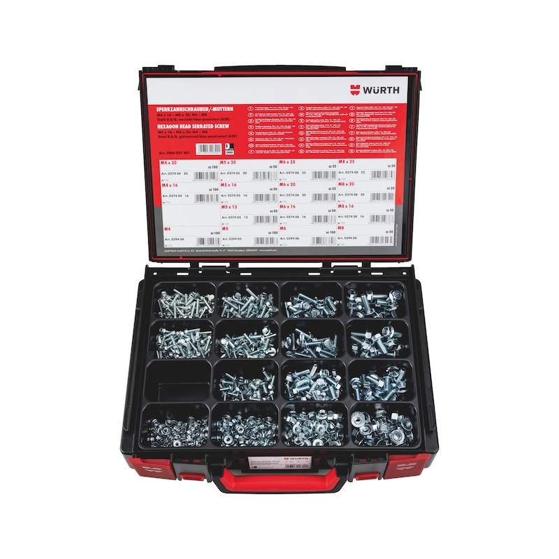 Serrated screws and serrated locking nuts assortment 860 pieces in system case 4.4.1. - SERSCR-SYSKO-NUT-HEX-UKV-(A2K)-860TLG