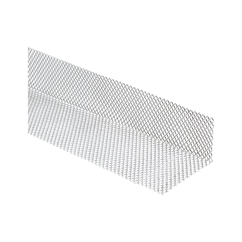 Roof protection screen strip - 2