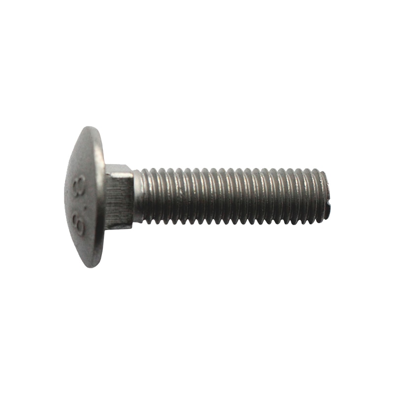 Round head screw with square neck - 1