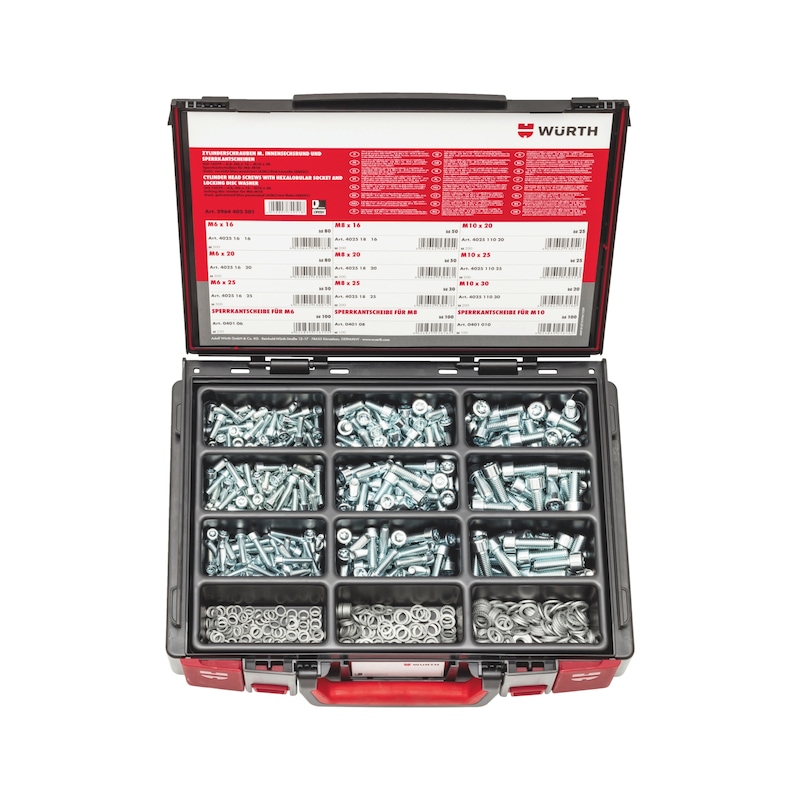 Cheese head screws with hexalobular socket and locking disc spring washers type Z assortment 710 pieces in system case 4.4.1. - 1