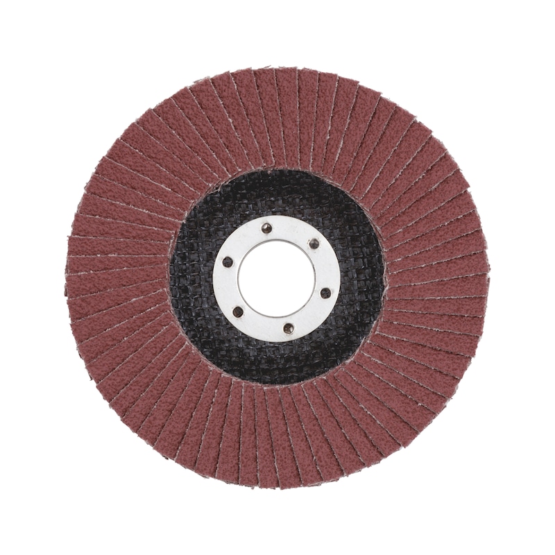Segmented Grinding Disc for Steel Synthetic corundum - FLPDISC-NC-CLTH-SR-BR22,23-G60-D115