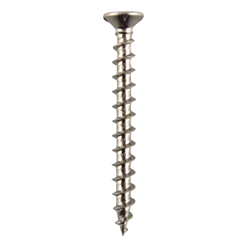FBS A2 Stainless Steel Window Screw