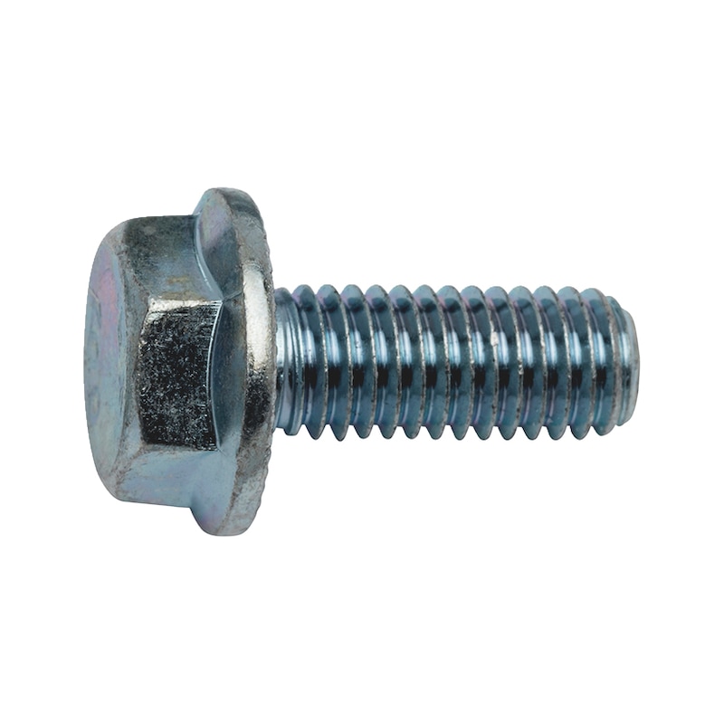 Serrated flange screw - 1