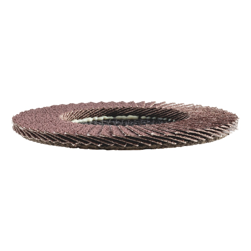 Disque de meulage segmenté pour l'acier Corindon - DISQUE-LAMEL-DROIT-ACIER-D115-P40