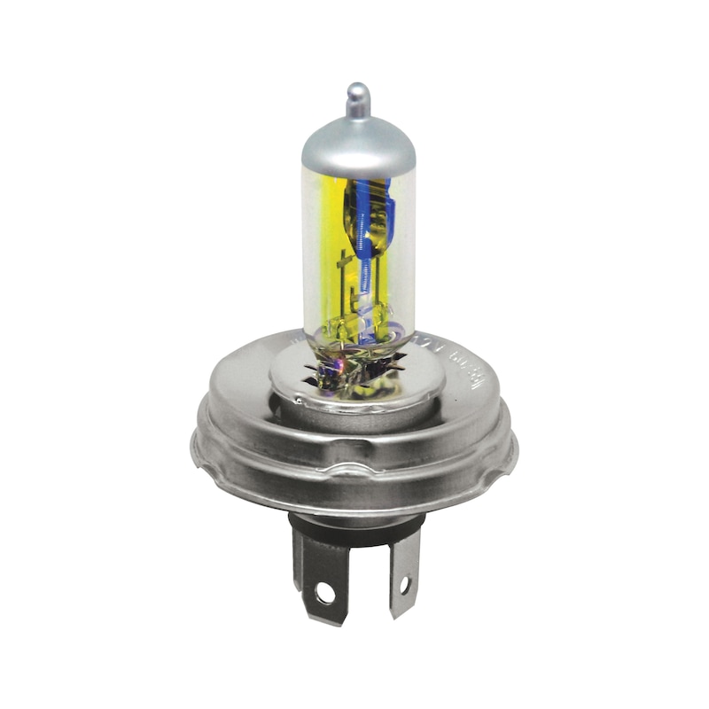 Halogen bulb  Double-Filament   - BULB-H5-ALLWEATHER-P45T-12V-60/55W