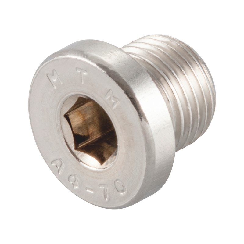 Hexagon socket screw-in nut with collar, imperial DIN 908, A4 stainless steel, plain - 1
